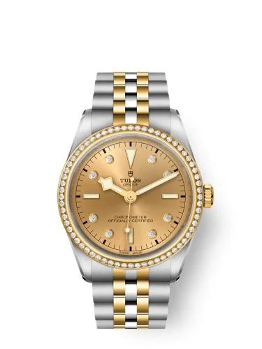 Tudor Black Bay 36 S&G