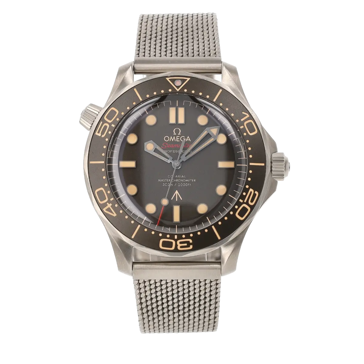 Seamaster Diver 300M