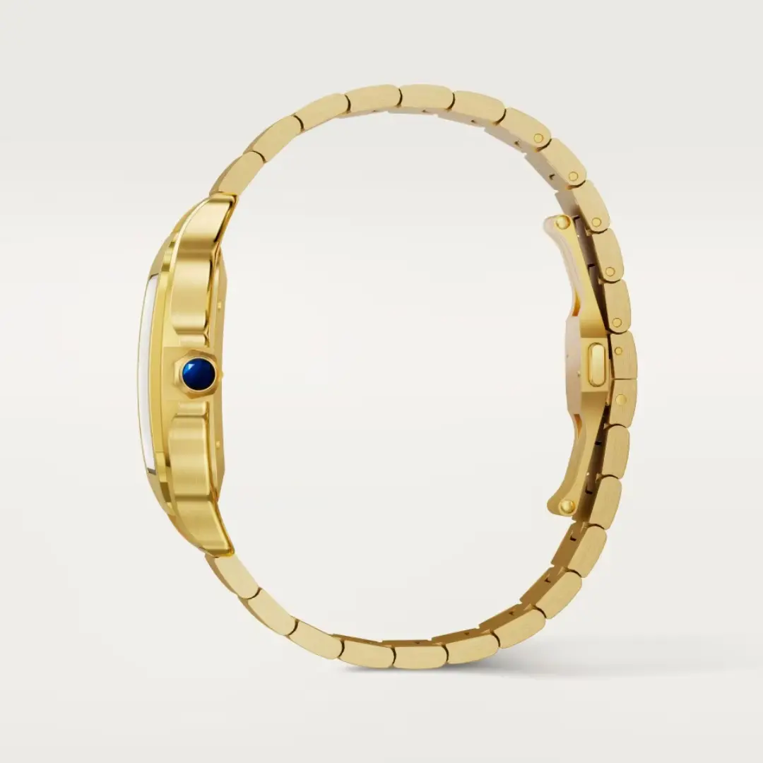 Cartier Santos de Cartier