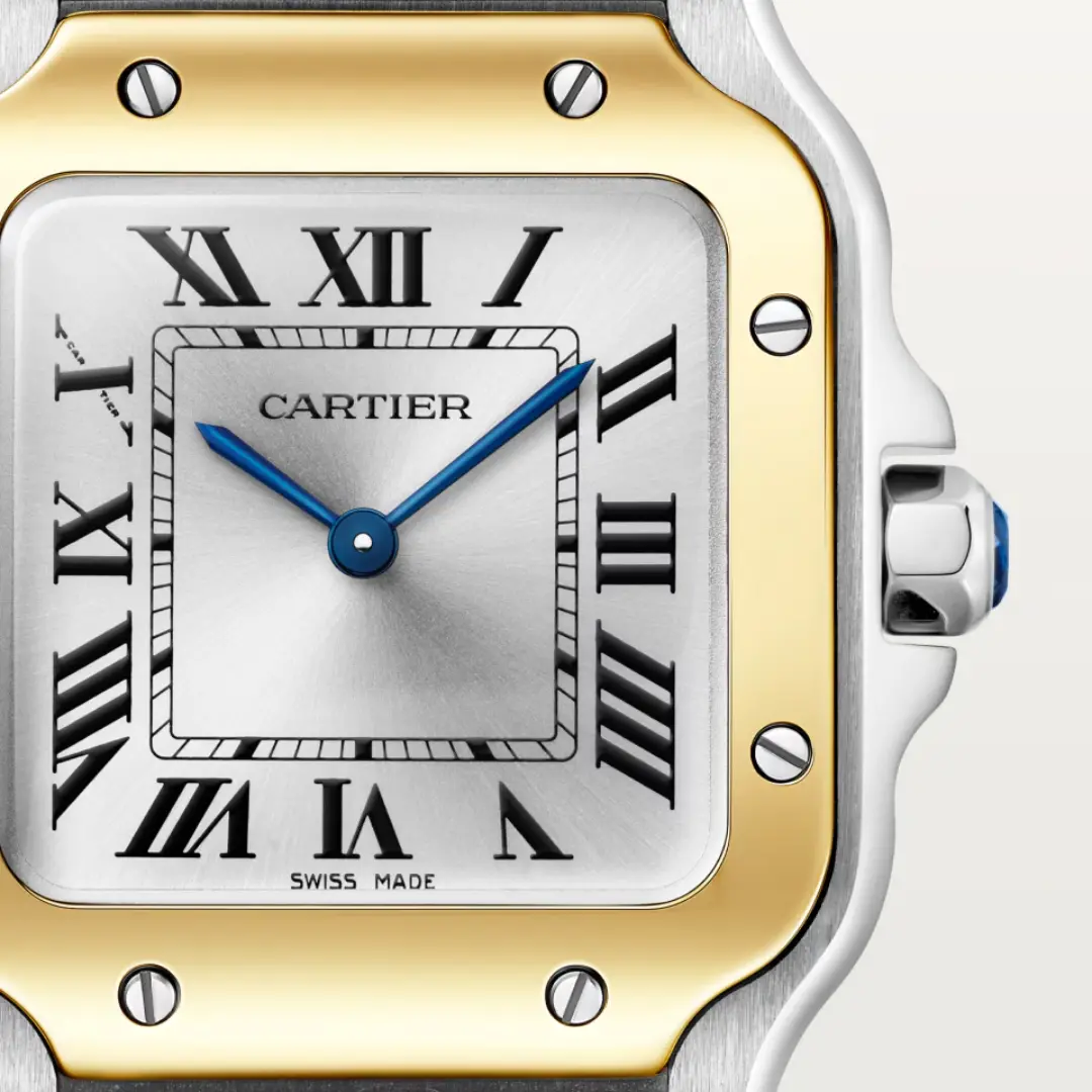Cartier Santos de Cartier