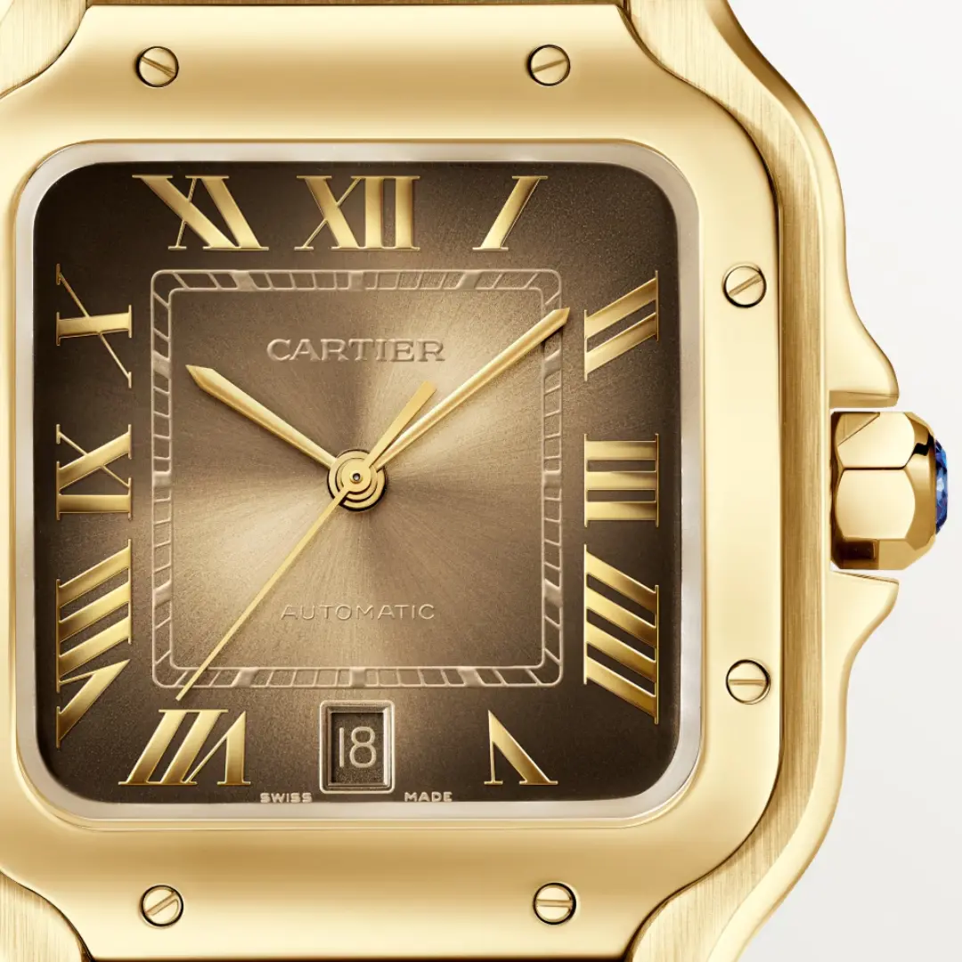 Cartier Santos de Cartier