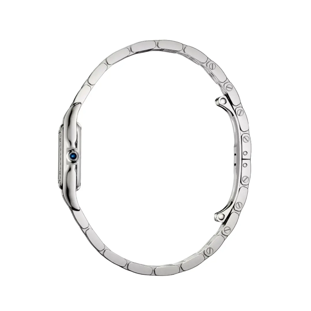 Cartier Panthère de Cartier