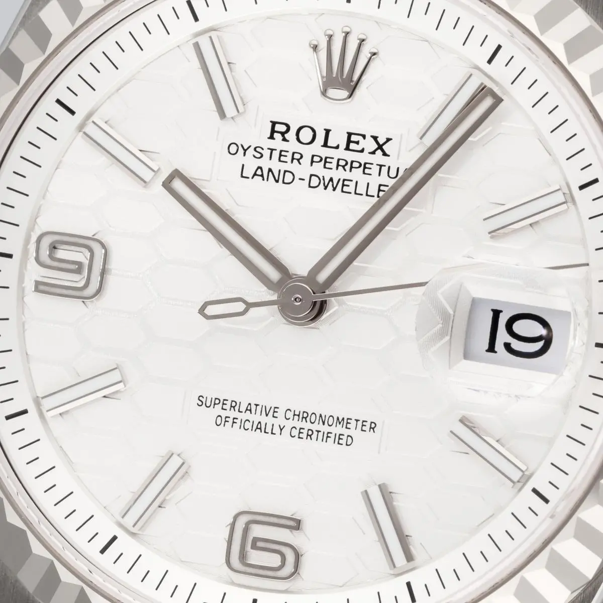 Rolex Land-Dweller 36