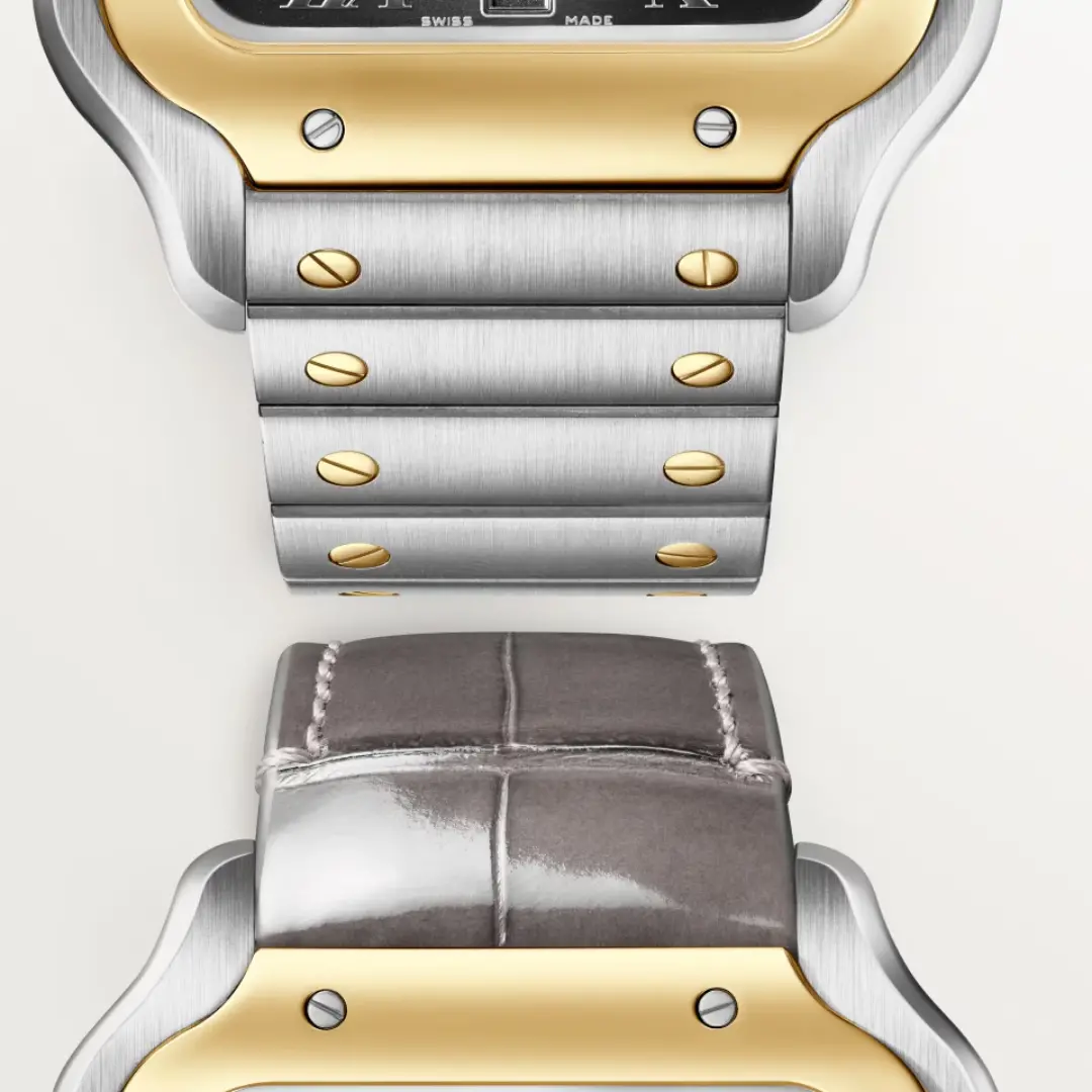 Cartier Santos de Cartier