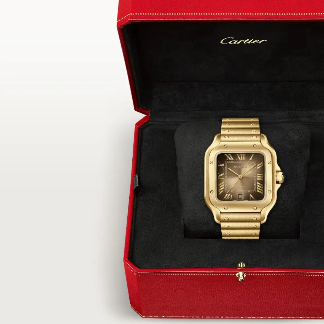 Cartier Santos de Cartier