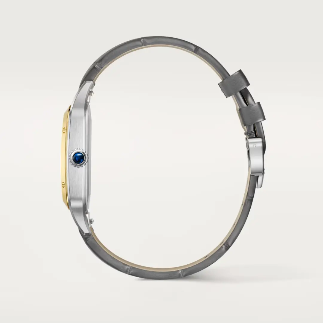 Cartier Cartier Santos-Dumont