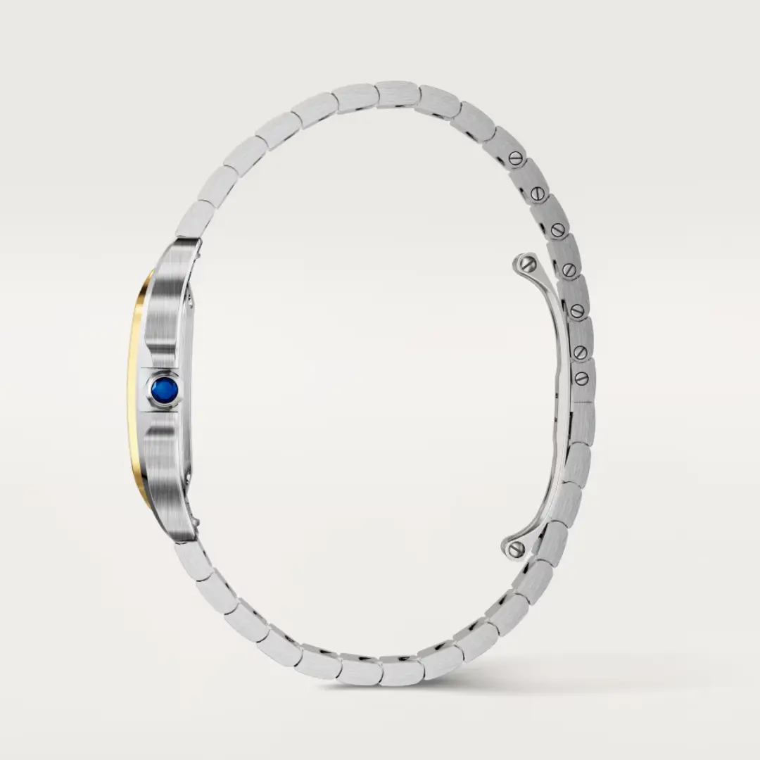 Cartier Santos de Cartier