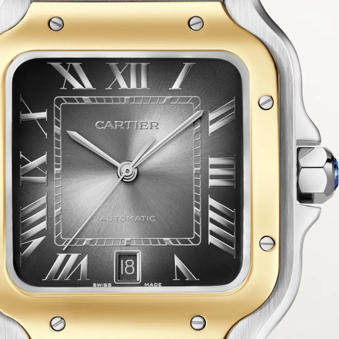 Cartier Santos de Cartier