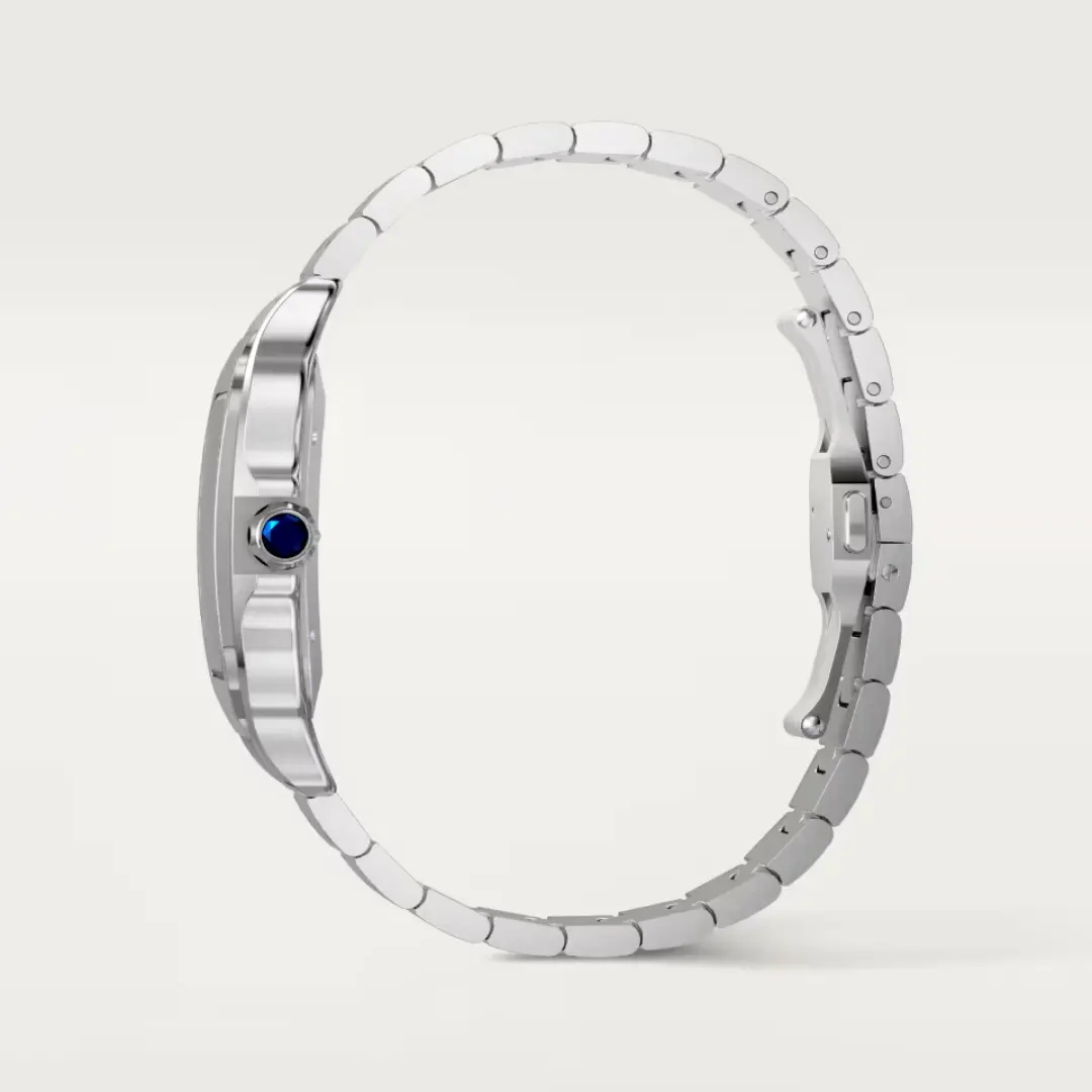 Cartier Santos de Cartier