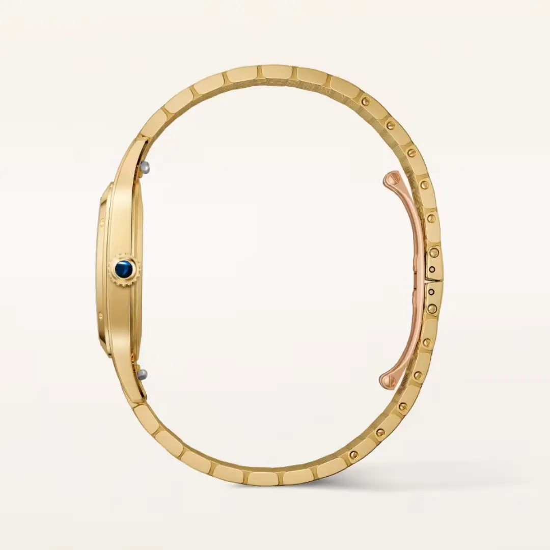 Cartier Santos-Dumont watch