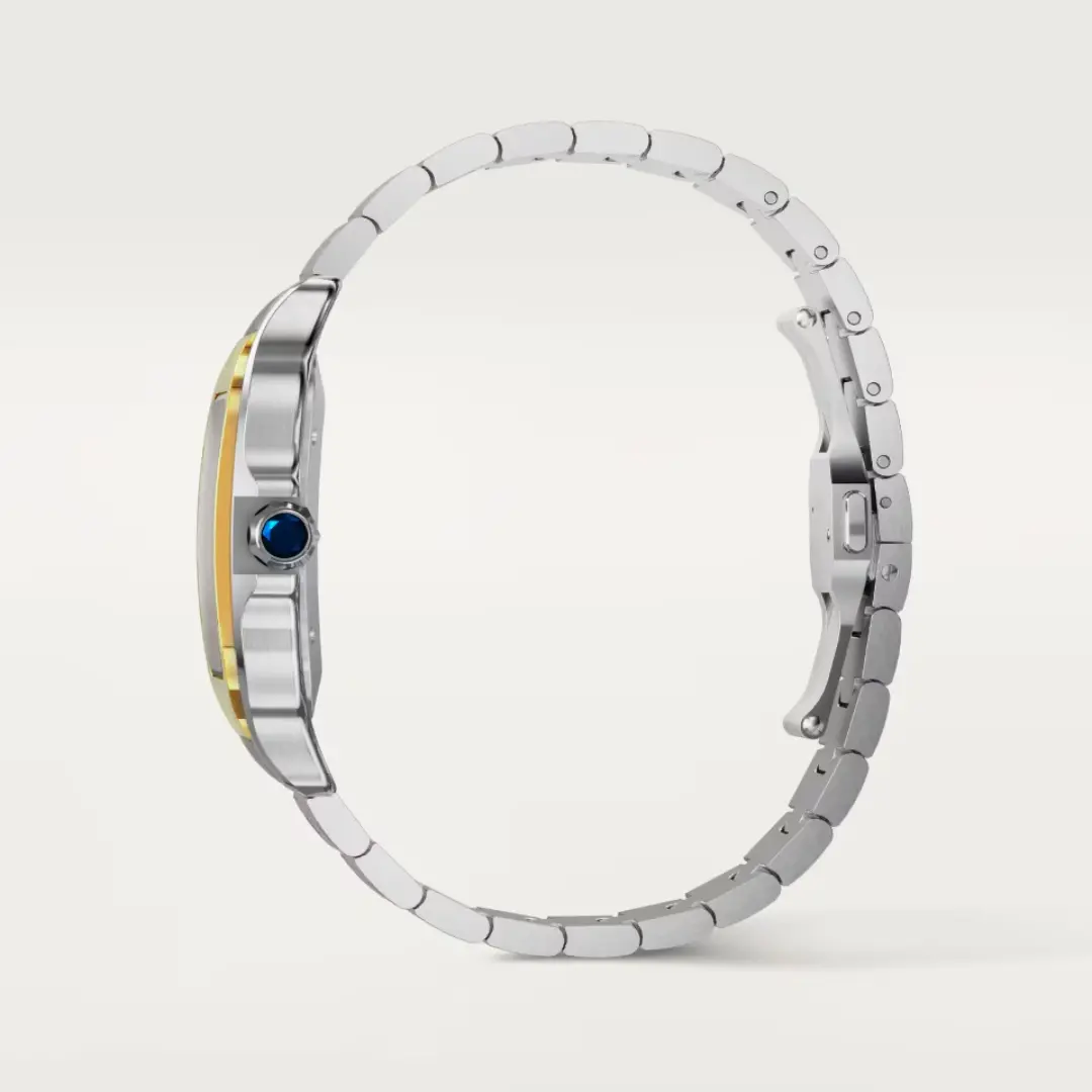 Cartier Santos de Cartier